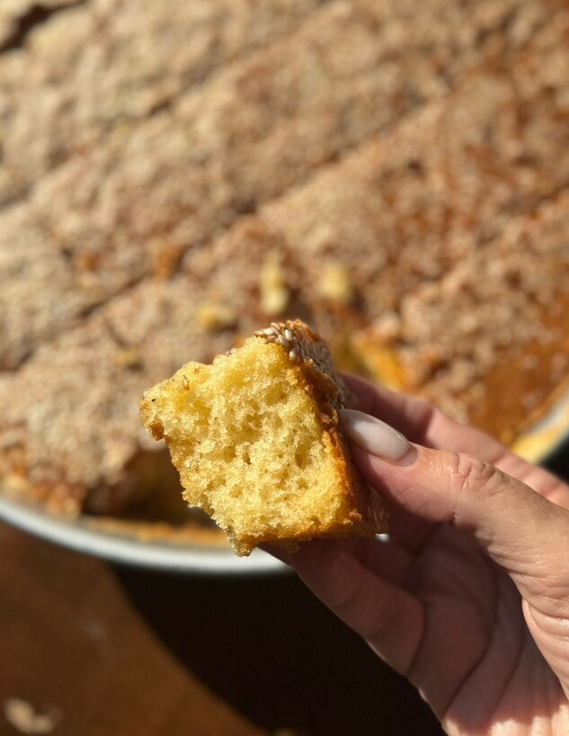 עוגת אמא. עוגה טורקית על בסיס יוגורט (צילום: קרן אגם, mako אוכל)