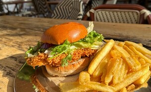 יש קריספי צ'יקן חדש בארץ והוא של תומר טל (צילום: לין לוי, mako אוכל)