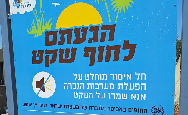 כנרת כנרת