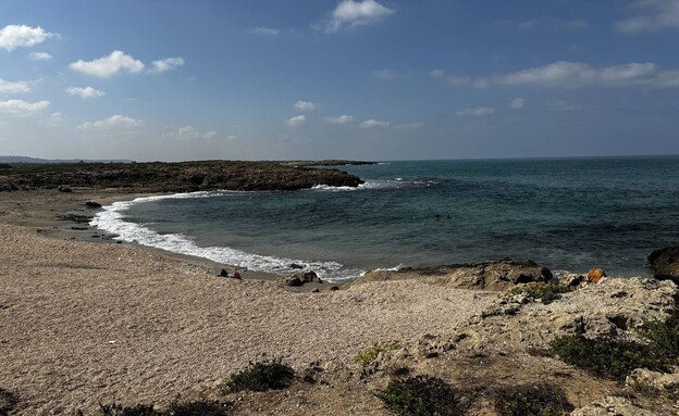 חוף הצדפים חוף דור הבונים ים חוף הצדפים חוף דור הבונים ים