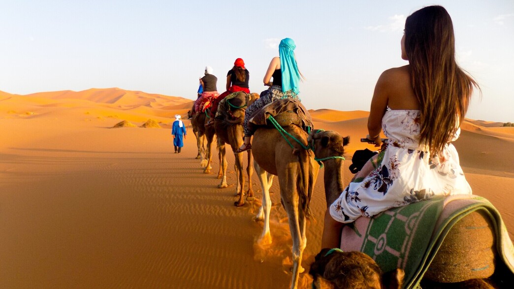 טיול גמלים, אילוסטרציה טיול גמלים, אילוסטרציה