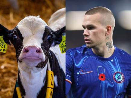 (GETTY) (צילום: ספורט 5)