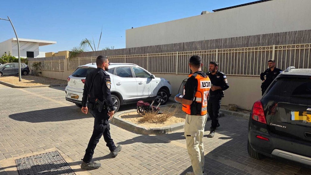 הזירה בדימונה הזירה בדימונה