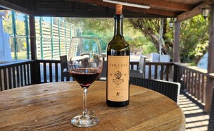 מרלו חברון (צילום: גיא רייט)