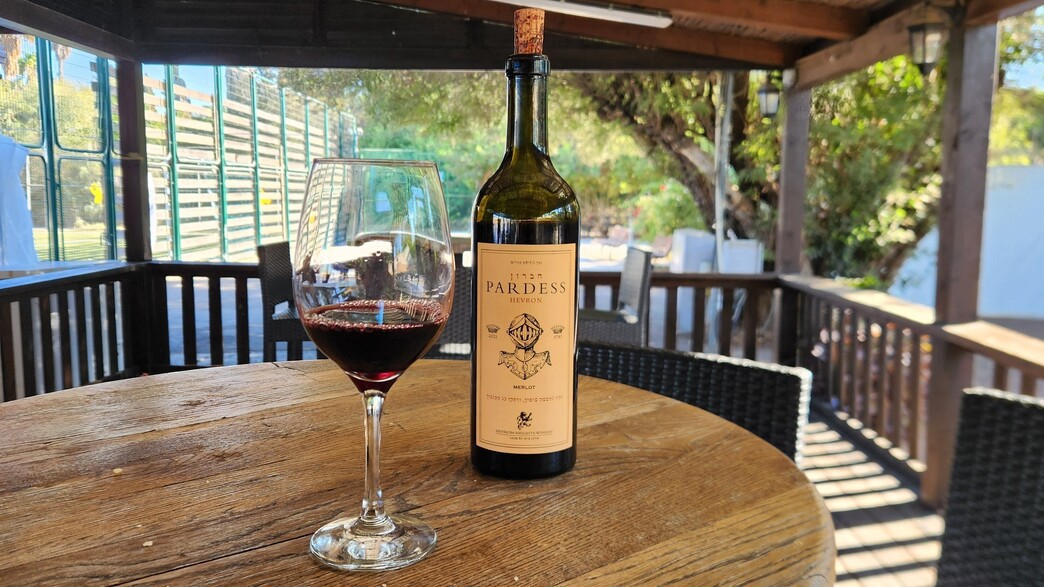 מרלו חברון מרלו חברון