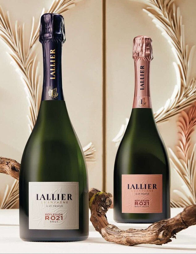 שמפנייה ללייה שמפנייה ללייה