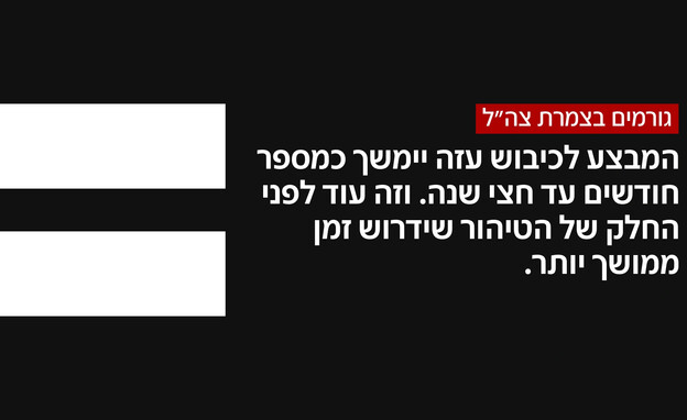 גורמים בצמרת צה