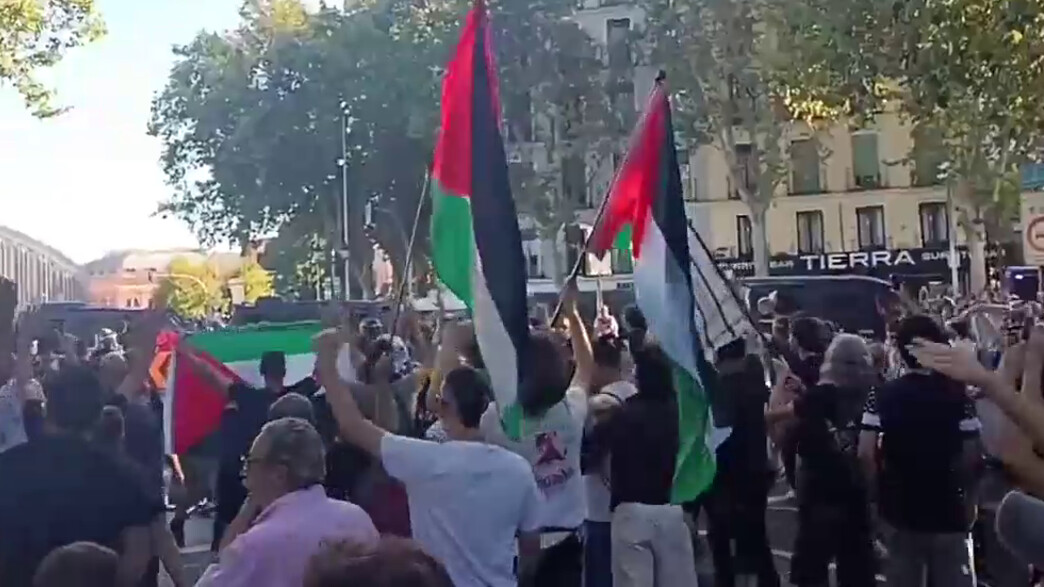הפגנה פרו פלסטינית במדריד