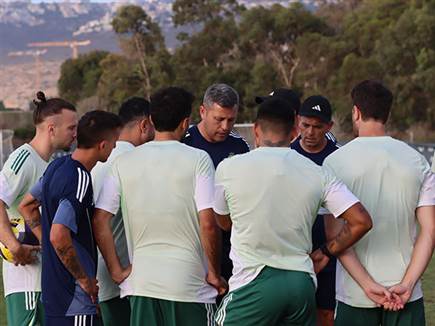 (מאור אלקסלסי) (מאור אלקסלסי)