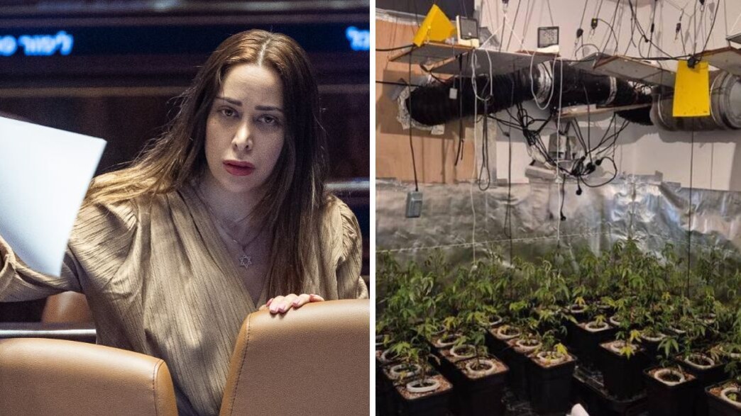 מעבדת ההידרו שהתגלתה בבית היועצת של השרה מאי גולן מעבדת ההידרו שהתגלתה בבית היועצת של השרה מאי גולן