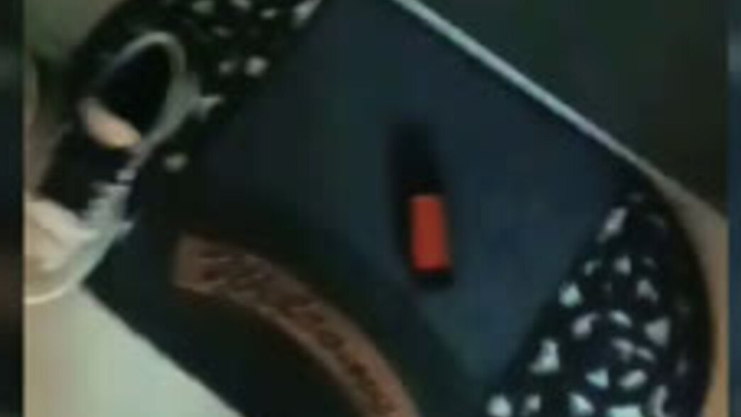 הרימון שהונח בפתח הבית הרימון שהונח בפתח הבית