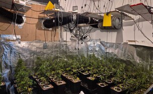 מעבדת הסמים בביתה של היועצת לשרה מאי גולן