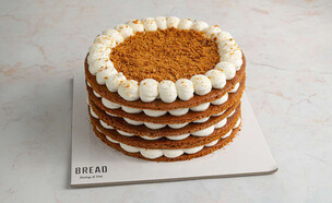 ברד- מדוביק (צילום: עדן ניסים)