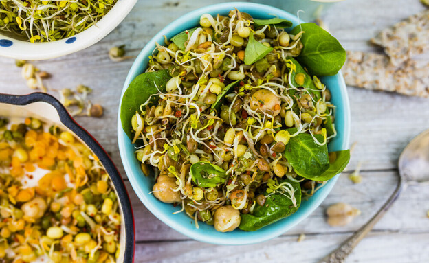 עדשים מונבטות