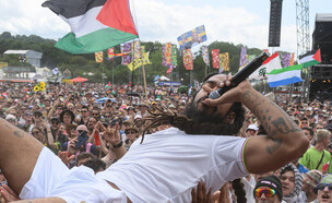 בוב וילן (צילום: Leon Neal/Getty Images)