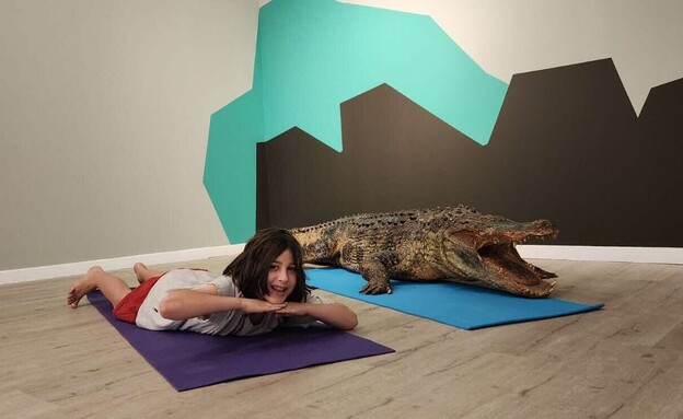 מתוך התערוכה ״יוגה וחיות אחרות״ - באדיבות מוזיאון האדם והחי (צילום: אלכס קפלן, יחסי ציבור)