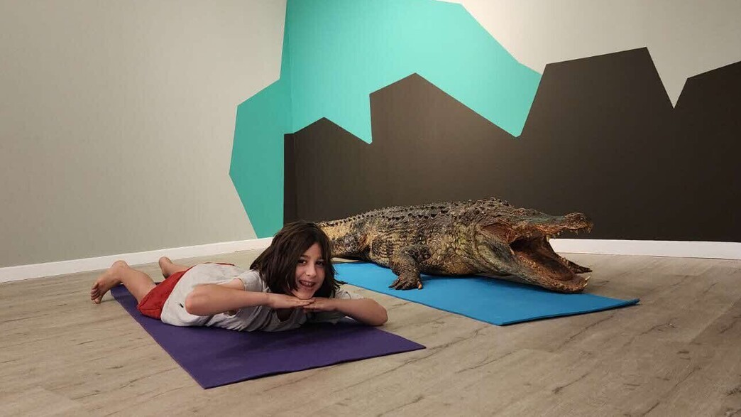 מתוך התערוכה ״יוגה וחיות אחרות״ - באדיבות מוזיאון האדם והחי מתוך התערוכה ״יוגה וחיות אחרות״ - באדיבות מוזיאון האדם והחי