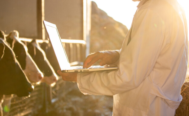 וטרינר (צילום: שאטרסטוק)