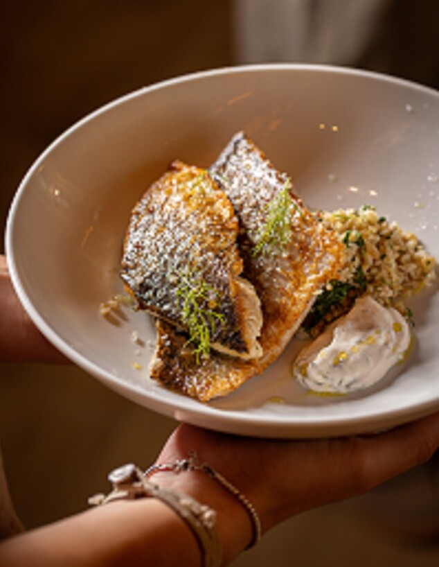 מסעדת זקס ברחובות. פילה מוסר מסעדת זקס ברחובות. פילה מוסר