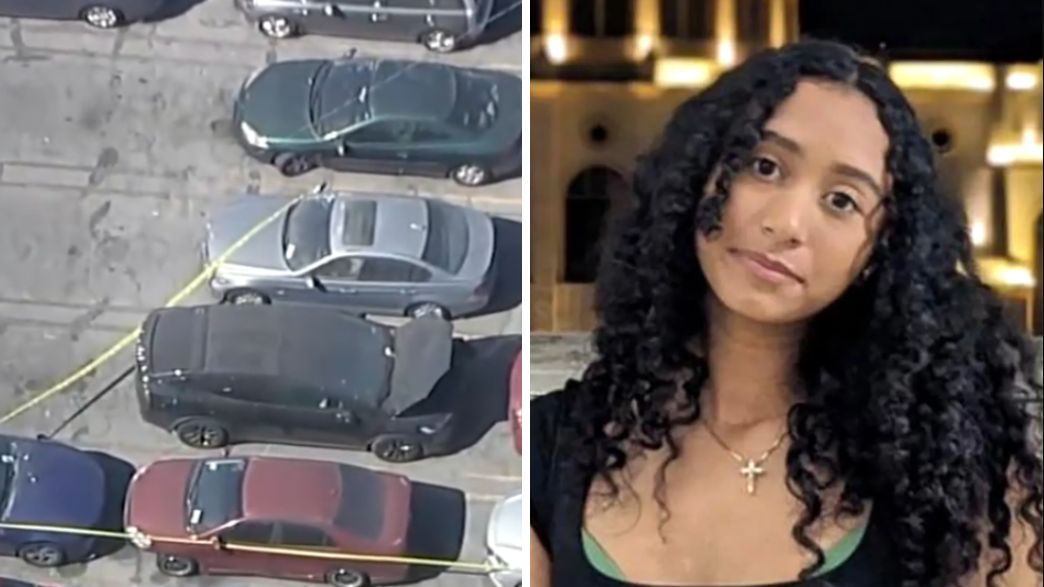 סלסט ריבאס, המכונית של d4vd