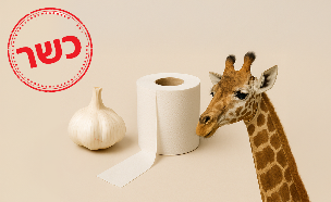 כשרות מיוחדת