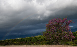 מזג- סתיו (צילום: אייל מרגולין, פלאש 90)
