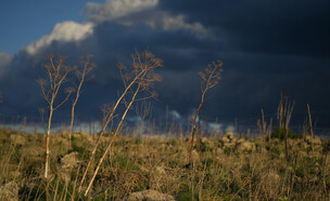מזג- סתיו (צילום: מיכאל גלעדי, פלאש 90)