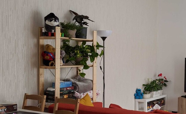 פוטוס ככה התחיל לפני חמש שנים