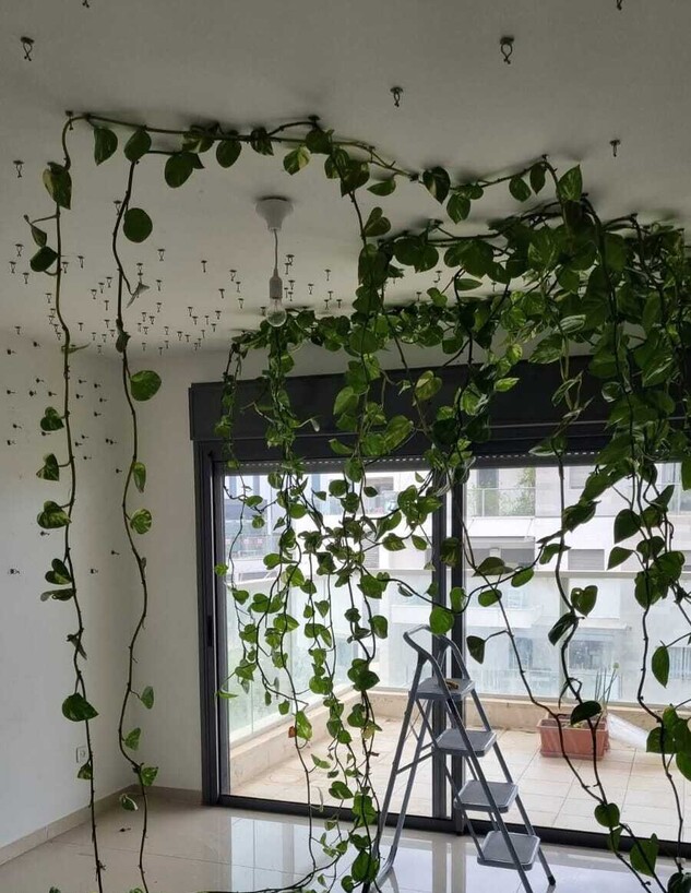 פוטוס בדירה הקודמת בתהליך ההורדה