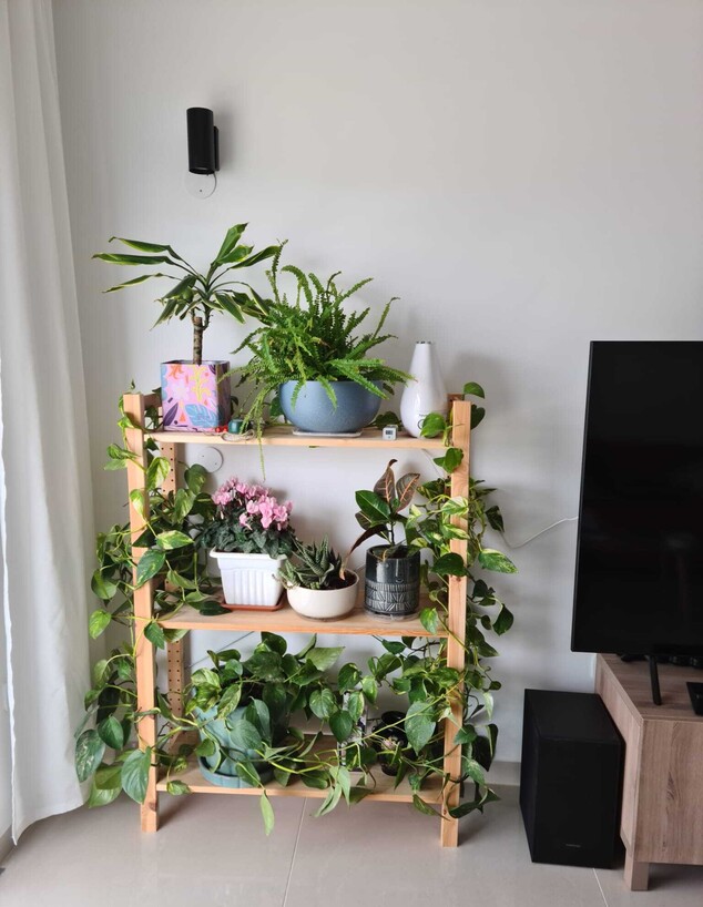 פוטוס ככה התחיל בדירה הקודמת לפני 4 שנים