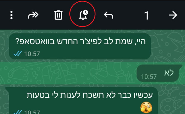 כפתור התזכורת בוואטסאפ