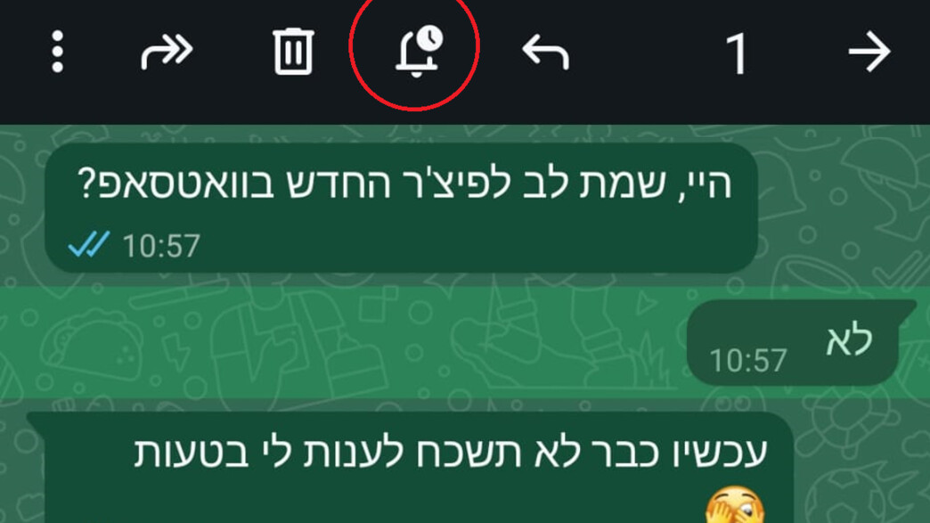 כפתור התזכורת בוואטסאפ