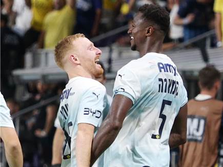 ולמרות הכל, הצהובים נותרו מושלמים (אלן שיבר)