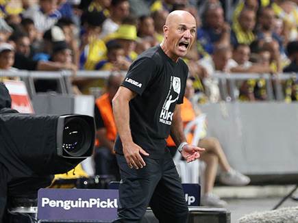 אריה, הרבה ממה להיות מרוצה, המון ממה להיות מאוכזב (אלן שיבר)