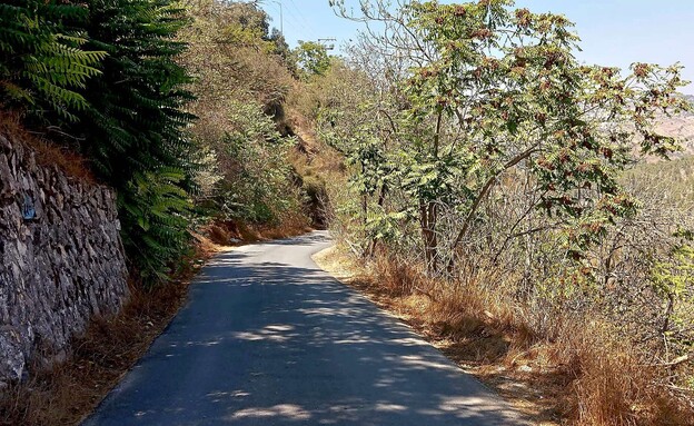 כפר ליפתא כפר ליפתא