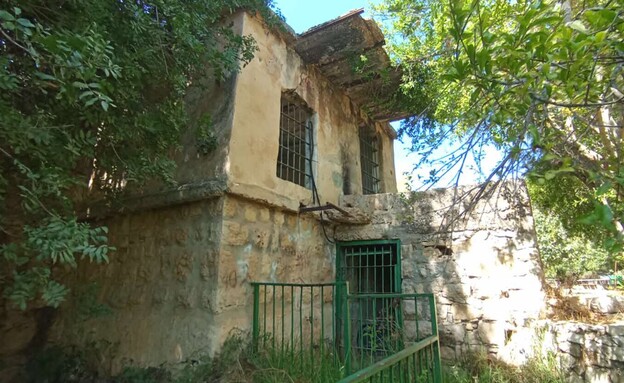 עמק הארזים עמק הארזים