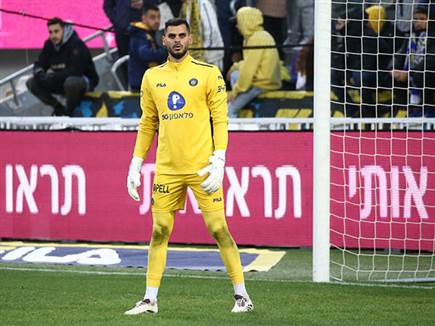 (אלן שיבר) (אלן שיבר)