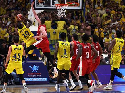 (אלן שיבר) (צילום: ספורט 5)