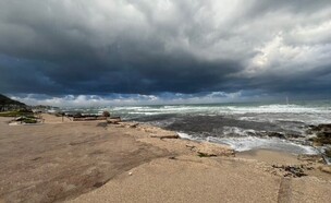 חיפה זיהום בחופים (צילום: לפי סעיף 27א' לחוק זכויות יוצרים)