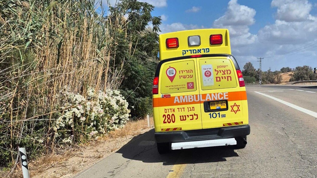 זירת הירי ליד חוות השקמים