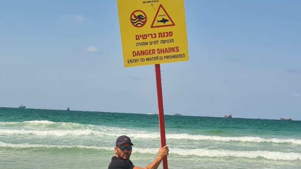 התרעת כריש באשדוד