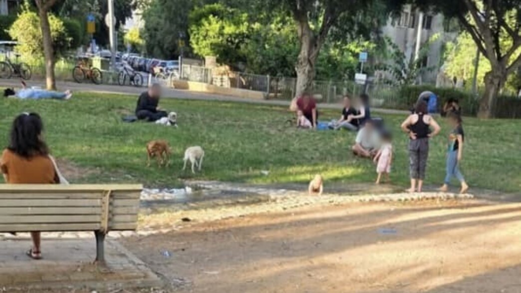 פארק קריית ספר בתל אביב פארק קריית ספר בתל אביב