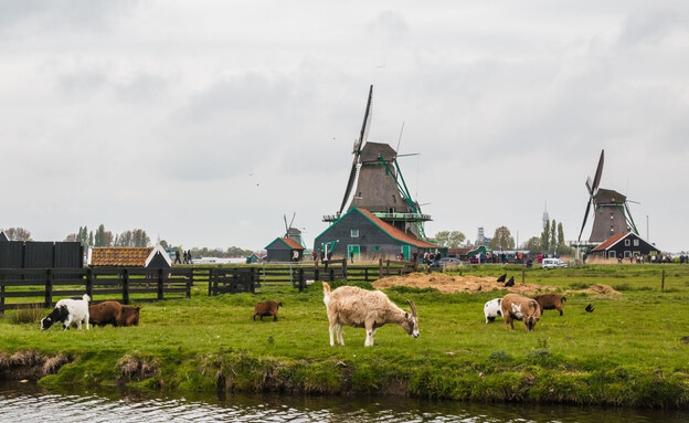 זאנסה סכאנס, הולנד זאנסה סכאנס, הולנד