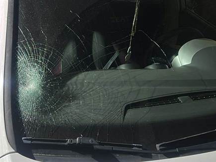 sportFive1607566 (צילום: ספורט 5)