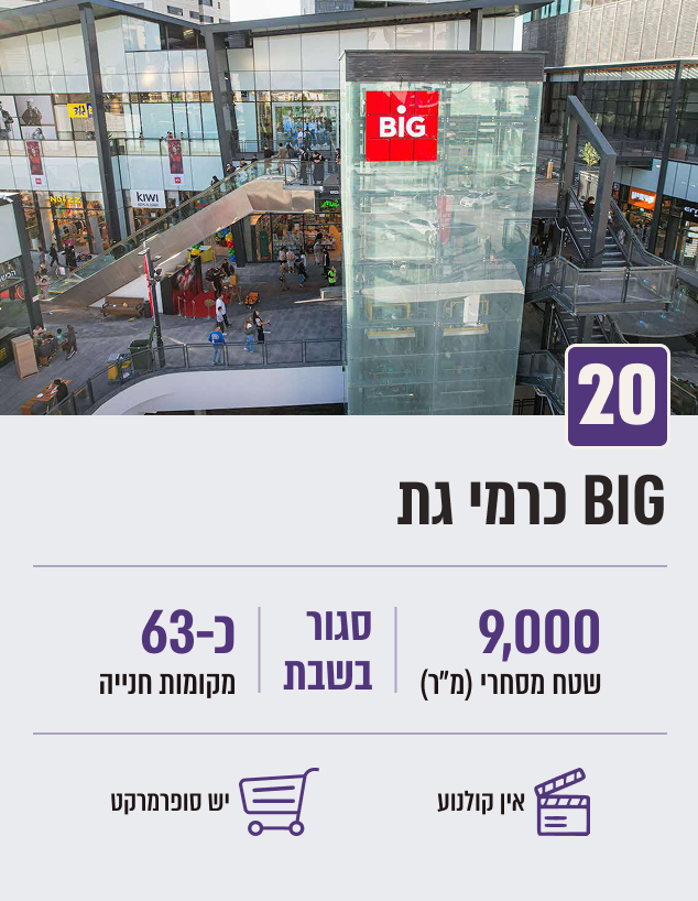 BIG כרמי גת