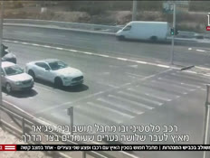 20piguamesh_vtr2_n20250930_v1 (צילום: חדשות)