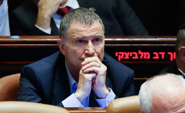 יולי אדלשטיין (צילום: אורן בן חקון, פלאש 90)