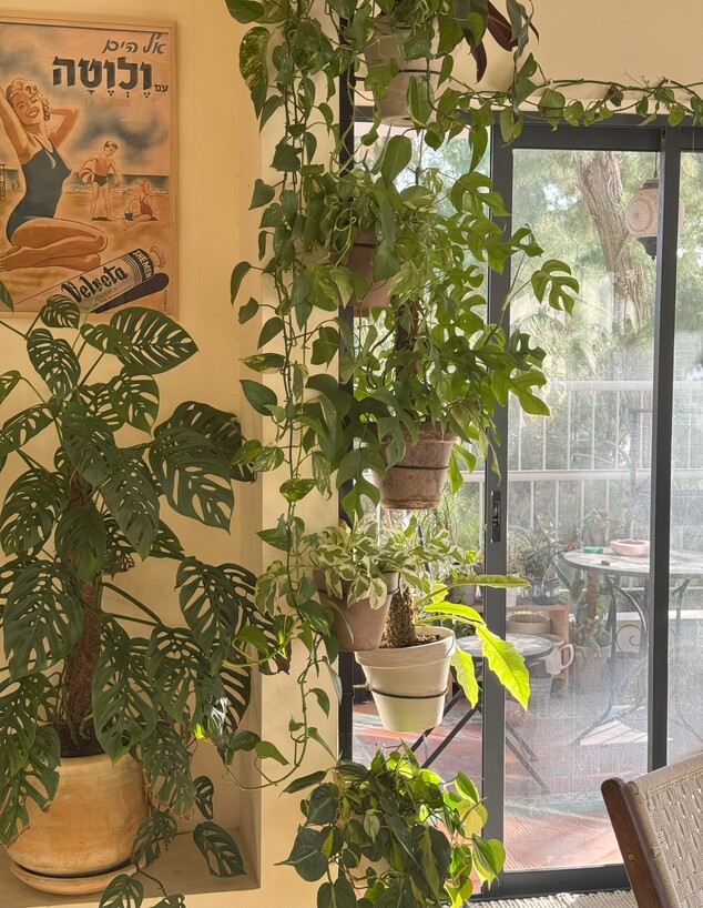 קיבוצניקית בתל אביב