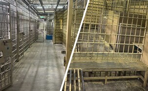 תמונות ראשונות ה"קולבות"