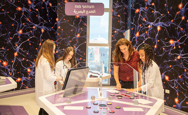 חיתוכים אוקטובר 2025 חידות ותעתועי מוח בתערוכת חיתוכים אוקטובר 2025 חידות ותעתועי מוח בתערוכת